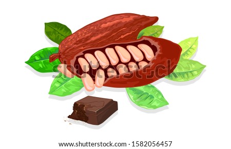 Brown cocoa pods and beans garnished green leaves are near square piece of dark, black chocolate. Source of energy and endorphin, cure for stress. Vector realistic illustration isolated on white.