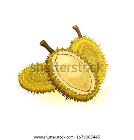 Image Of Edible Parts Of A Plant Diagram Large Size Parts Of A Corn Plant Diagram Tree Flower Blossom Poster Transparent Png Pngset Com