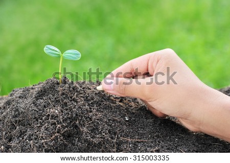 Farmer\'s hand planting a seed in soil.