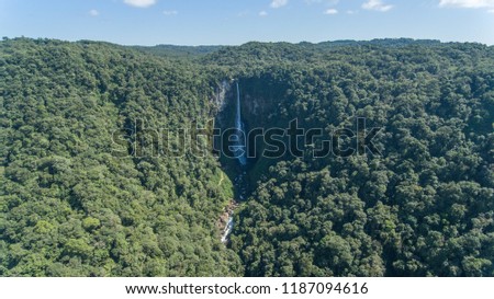 Corupá Santa Catarina fonte: image.shutterstock.com