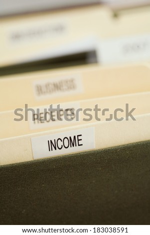 Taxes: Focus on Income File Folder