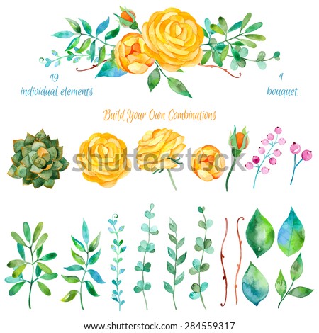 Vector floral set.Colorful floral collection with leaves and flowers, drawing watercolor.Colorful floral collection with flowers + 1 beautiful bouquet.Set of floral elements for your compositions.