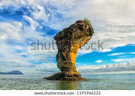 Similar – Image, Stock Photo bako national park | wonderful place in the world