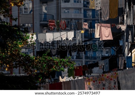 Similar – Image, Stock Photo Towels on clothesline between two trees on the campsite. In the background a caravan with awning.