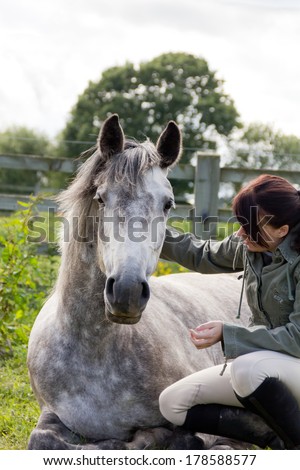 Togetherness- beautiful grey horse lies being petted by her pretty young owner, showing a bond of trust and love.