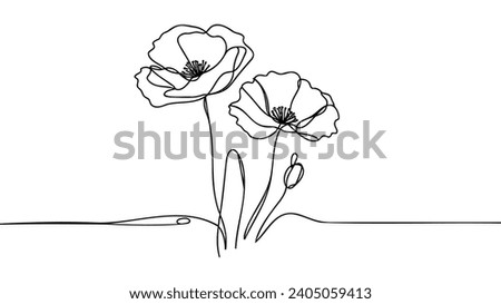 Poppy flowers in continuous line art drawing style. Doodle floral border with two flowers blooming among grass. Minimalist black linear design isolated on white background. Vector illustration