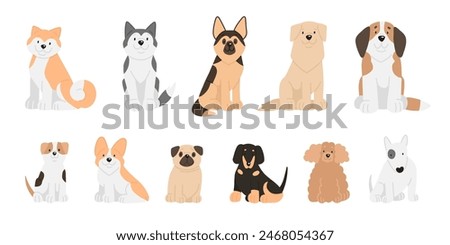 Vector illustration of сartoon dogs breeds set. Cute akita inu, husky, shepherd, retriever, St. Bernard, jack russell, corgi, pug, dachshund, poodle, Bull Terrier