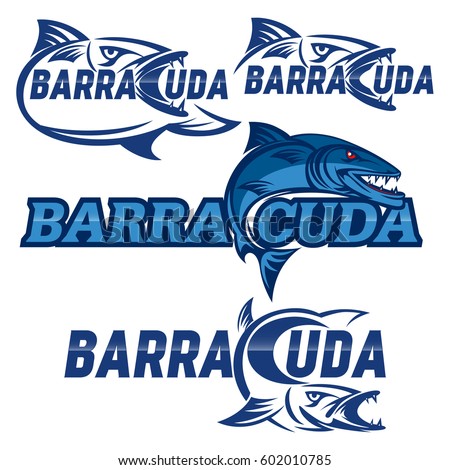 Modern Barracuda logo