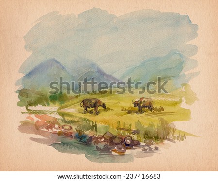 watercolor illustration landscape mountains field small river cow buffaloes on craft paper