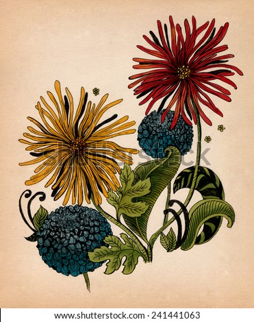 Beautiful flowers hand-drawn colorful and ink graphic illustration. Gerbera flower and garlic flower on kraft paper