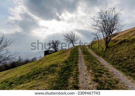 Similar – Foto Bild Ein alleinstehender Baum auf dem Hügel