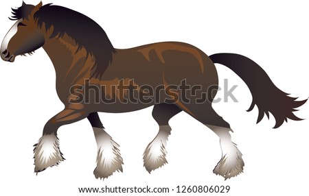 Shire Horse Stallion, Life Stock Animal - Vector Illustration