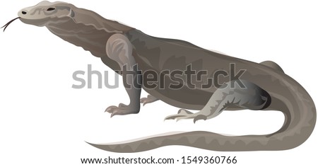  Komodo dragon, wild life animal from Indonesia - Vector