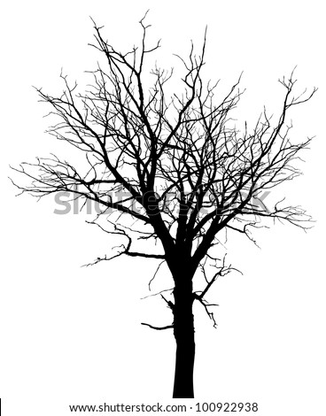 Bare Tree Clipart Black And White | Free download on ClipArtMag