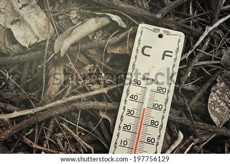 Hot weather, Thermometer on dry leaves ground, Thermometer in high temperature,  Temperature scale. Process warm lighting.