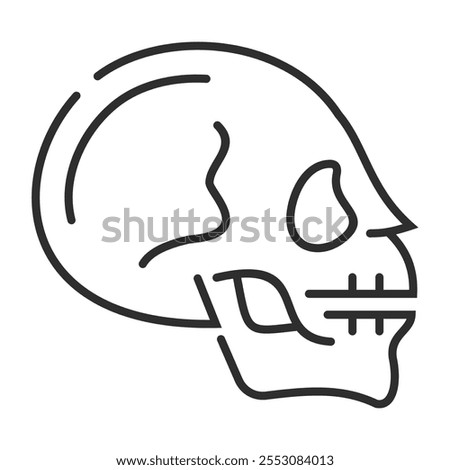 Skull outline icon, showing anatomy outline icon, minimalist vector illustration and transparent graphic element. Isolated on white background