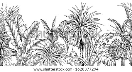 Rainforest Clipart Black And White | Free download on ClipArtMag