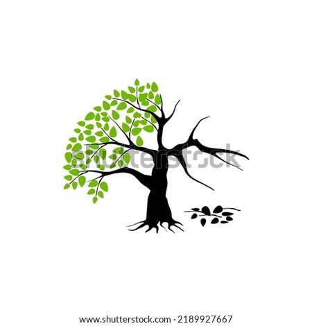 half dead and wither tree and vector illustration, molt tree, drought tree vector