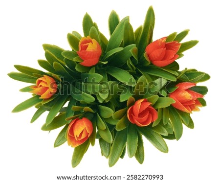 Similar – Image, Stock Photo artificial white tulips and green leaves in a black vase on the table in home interior.