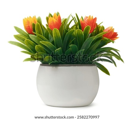 Similar – Image, Stock Photo artificial white tulips and green leaves in a black vase on the table in home interior.