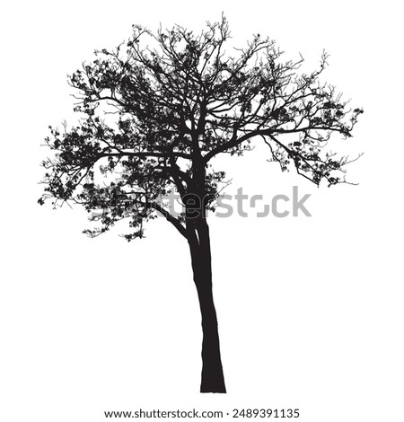 Tree silhouettes on white background. Vector illustration design.
 for brush 