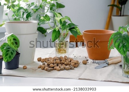 Similar – Image, Stock Photo Ready clay pots in workshop