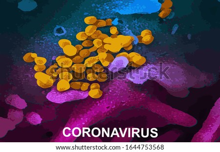 Coronavirus (COVID-19) Real image from Electron Microscope Stok fotoğraf © 