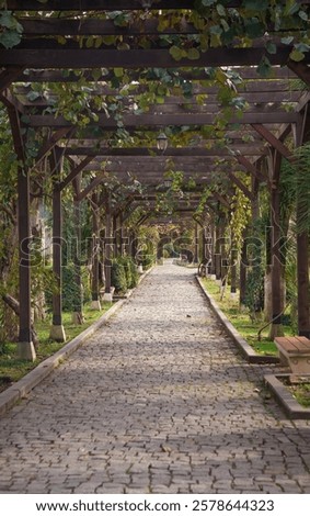 Similar – Image, Stock Photo Path through overgrown stone gate