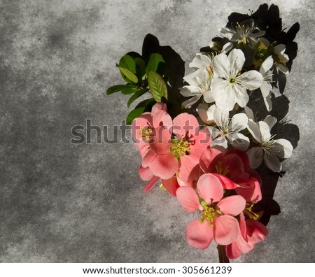 Condolence card with flower