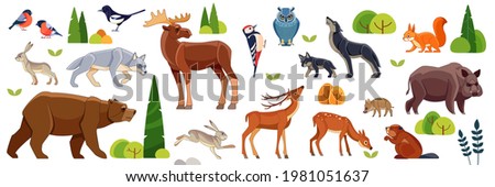 Woodland forest animals birds collection including deer, bear, owl, wild boar, fox, wolf, moose, deer, hare, squirrel, woodpecker, beaver, titmouse, magpie. Cartoon flat vector illustration.