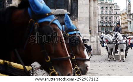 Vienna, Austria- 30 June, 2014 : horses in plaid blankets and caps carry the carriage through the streets. Carriage horses at St. Stephen\'s Cathedral (Wiener Stephansdom) at Stephansplatz,Austria