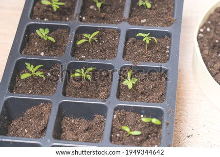 Shutterstock Puzzlepix