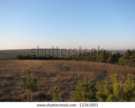 Field in land of hills in winter time - brown grass and evergreen fir trees showing up