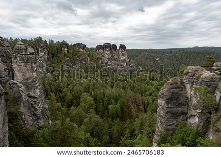 Similar – Image, Stock Photo Between trees Dresden