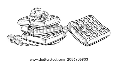 Vector illustration of Waffles with ice cream, berries and mint leaf. Vintage style drawing isolated on white background.