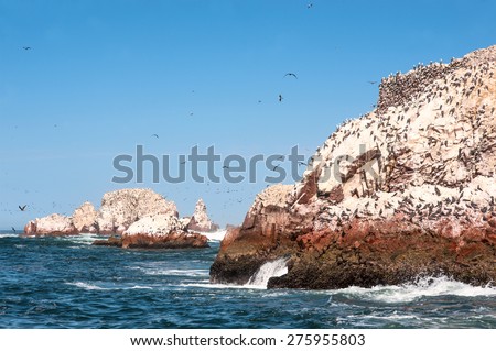Ballestas Islands, Paracas National Reserve. The very first Marine Conservation center in Peru, refer to the prolific wildlife and the great scenery as the \