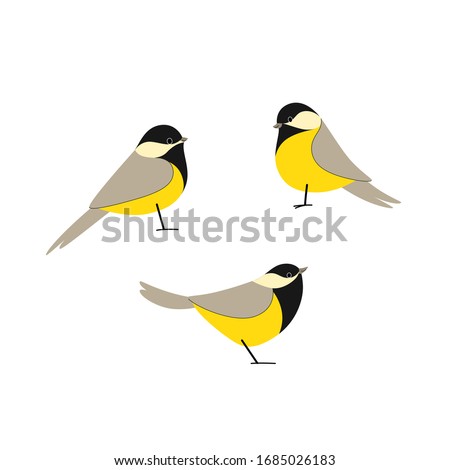 Cartoon bird icon set. Different poses of chickadee. Vector illustration for prints, clothing, packaging, stickers.