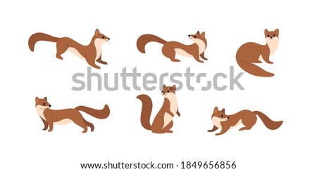 Cartoon marten. Cute animal character in different poses. Flat vector illustration for prints, clothing, packaging, stickers.
