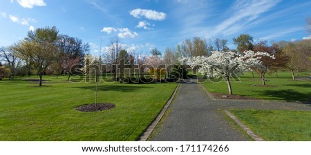 A beautiful spring park in Eugene, Oregon.
