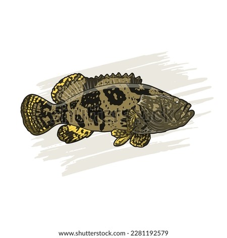 vector logo awesome grouper fish