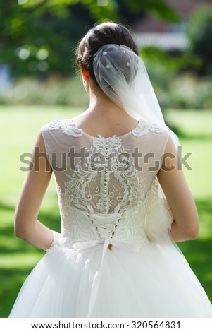 Beautiful bride (back view)