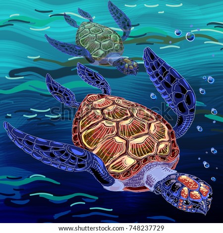 colored turtles swim in the sea