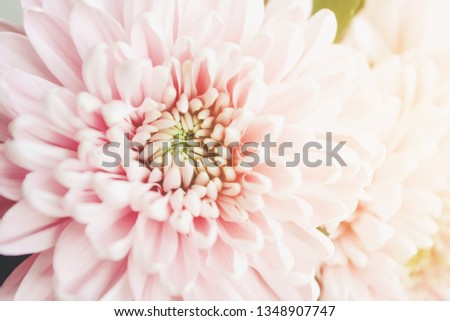 Shutterstock Puzzlepix Shutterstock Puzzlepix