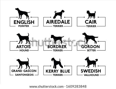 English pointer, Airedale terrier, Cairn terrier, Border terrier, Gordon setter, Kerry blue terrier. Dog vector icons, set 2