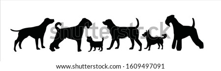 English pointer, Airedale terrier, Cairn terrier, Border terrier, Gordon setter, Kerry blue terrier. Dog vector icons.