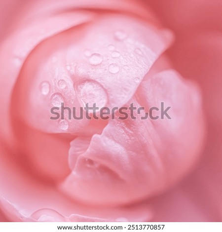 Similar – Image, Stock Photo Close up of pink velvet fabric background texture