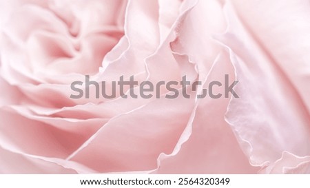 Similar – Image, Stock Photo Pink pale flowers in circle shape at white background.