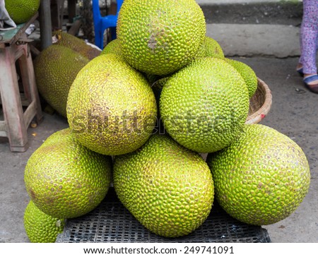 Jack fruit , tropical fruit displayed at Vinh Long fruit market, Mekong delta. The majority of Vietnam\'s fruits come from the many orchards of the Mekong Delta