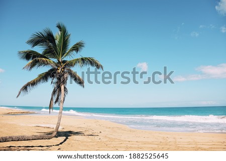 Shutterstock Puzzlepix