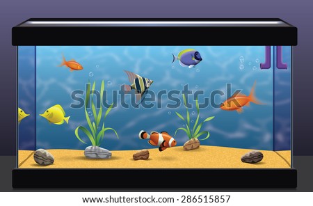 Foto Bild kleine bunte Fische , aufgemalt auf einer Glaswand im Bad, weiße Fliesen im Hintergrund